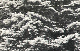 Groepsfoto 1934